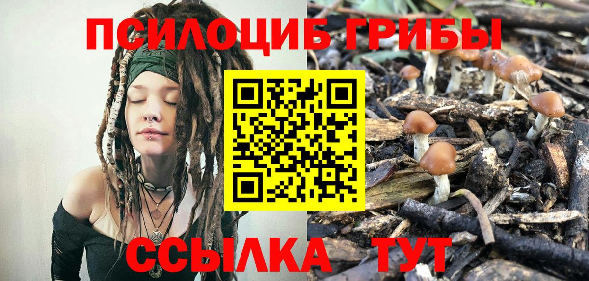 Татарск  Галлюциногенные грибы Cubensis  Вход с VPN  Галлюциногенные грибы Magic Shrooms 